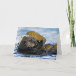 De Otters van het Zee van Californië Kaart