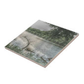 De Ouachita Tegeltje (Zijkant)