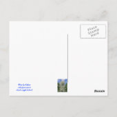 De oude appelboom briefkaart (Achterkant)