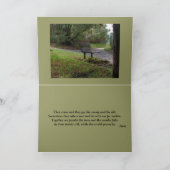 De oude Bank van het Park Kaart (Binnen)