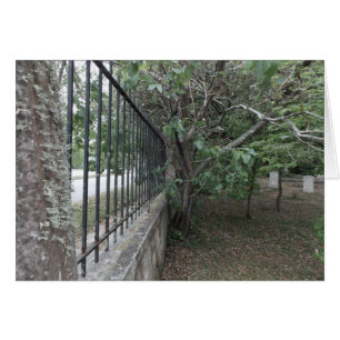 De oude begraafplaats