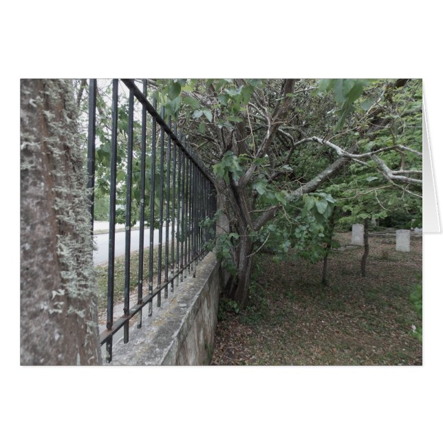 De oude begraafplaats (Voorkant Horizontaal)