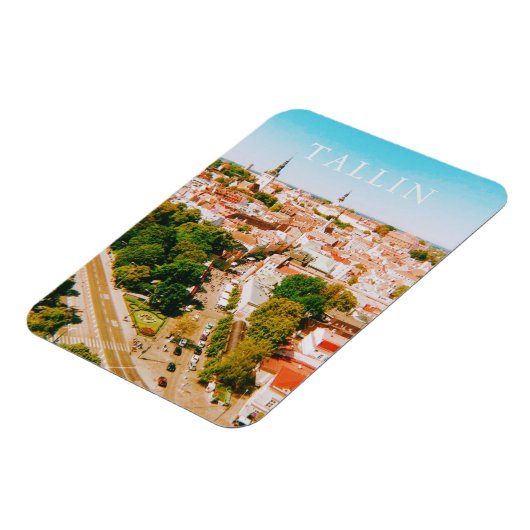 De oude binnenstad van Tallinn Estland, City Art Magneet (Linkerzijde)