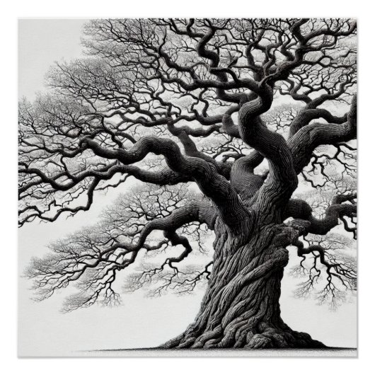 De oude boom inkt stijl perfect poster (Voorkant)