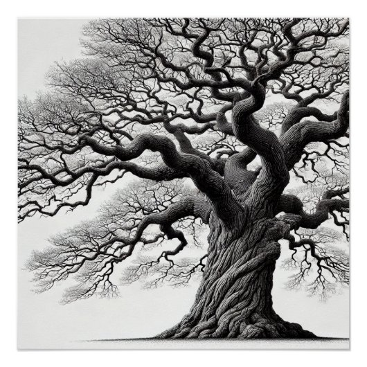 De oude boom inkt stijl perfect poster (Voorkant)