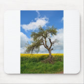 De oude boom muismat (Voorkant)