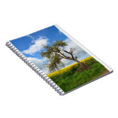 De oude boom notitieboek (Rechterzijde)