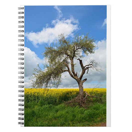 De oude boom notitieboek (Voorkant)