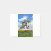 De oude boom post-it® notes (Voorkant)