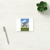 De oude boom post-it® notes (Kantoor)
