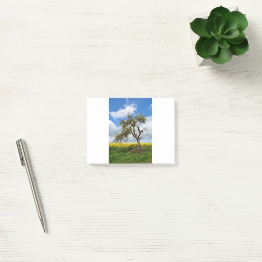 De oude boom post-it® notes (Kantoor)