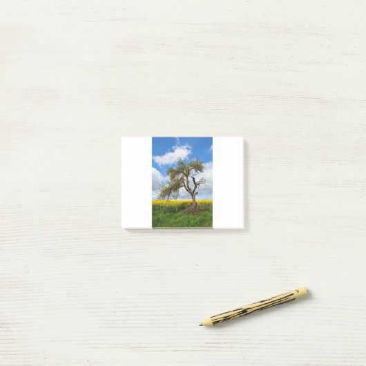 De oude boom post-it® notes (Op bureau)