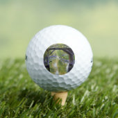 De Oude Brug (door Guy Rose) Golfballen (Insitu Shirt)