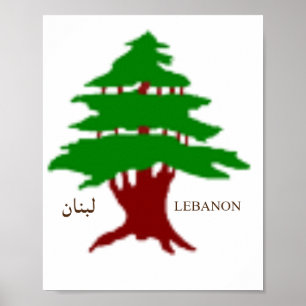 De oude cedar van Libanon-Poster Poster