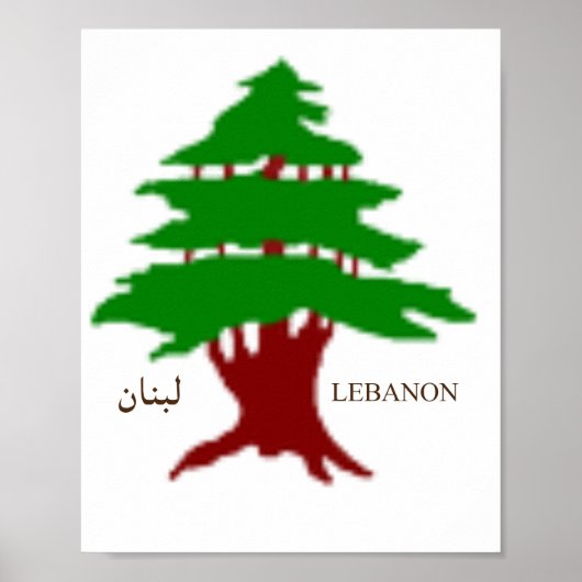 De Oude Ceder van Libanon Poster (Voorkant)