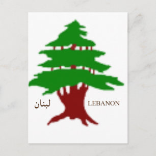 De Oude Ceder van Libanon Postkaart