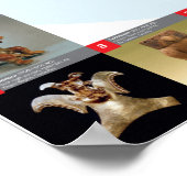 De oude culturen van de wereld in gevaar poster (Hoek)