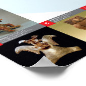 De oude culturen van de wereld in gevaar poster (Hoek)