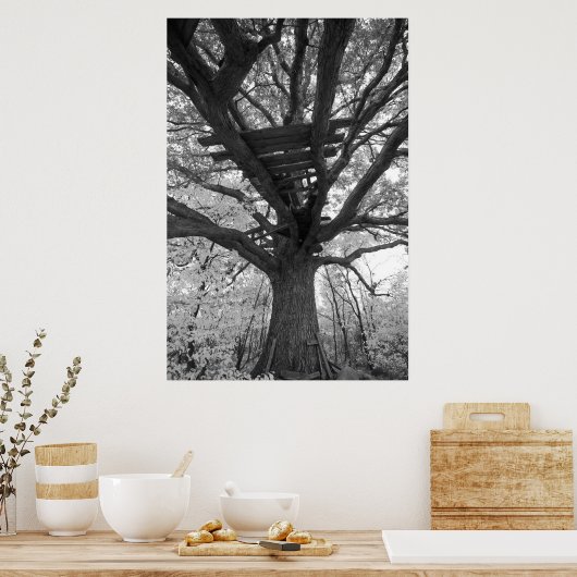 De oude Fort Poster (Keuken)