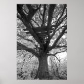 De oude Fort Poster (Voorkant)