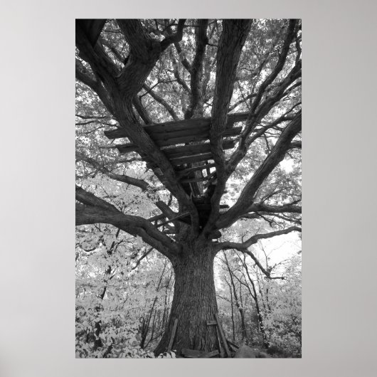 De oude Fort Poster (Voorkant)