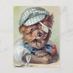 "De oude  hond" Briefkaart