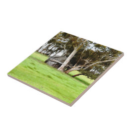 De oude houten shack keramische Tegel Tegeltje