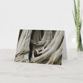 De oude Kaart van het Hart van de Boom