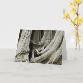 De oude Kaart van het Hart van de Boom (Gele Bloem)