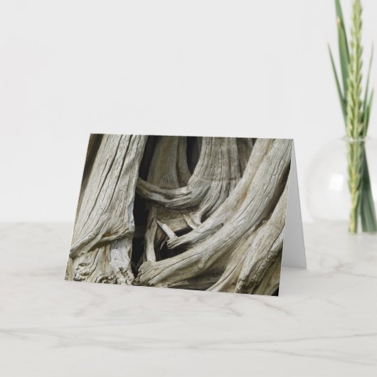 De oude Kaart van het Hart van de Boom (Voorkant)