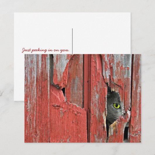 De oude Kat van de Schuur Briefkaart (Voorkant / Achterkant)