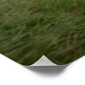 De Oude Kenimare Road Poster (Hoek)