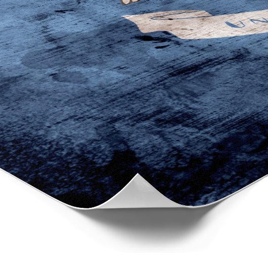 de oude Louisianaanse vlag; Poster (Hoek)