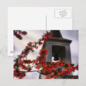 De oude Lynchburg Virginia Cemetery bloemen Briefkaart (Voorkant / Achterkant)