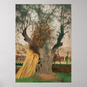 DE OUDE OLIJFBOOM POSTER
