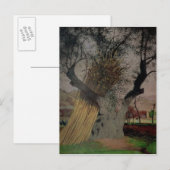 De oude olijventeelt, 1922 briefkaart (Voorkant / Achterkant)