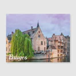 De oude stad Brugge en de toren van Belfry