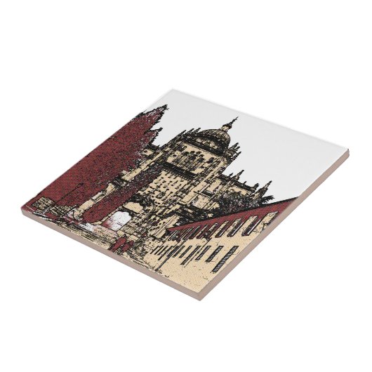 De Oude stad Salamanca Cathedraal Tegeltje (Zijkant)