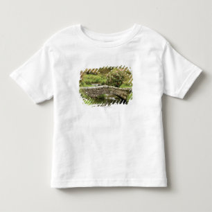 De oude Stone Brug over een stroom in het Park van Kinder Shirts
