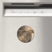 De oude Texturen van de Cabine Magneet (Insitu (Vaatwasser))