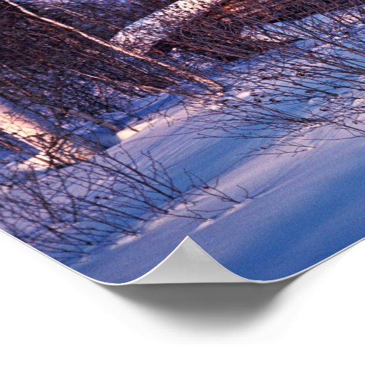 De oude trappercabine poster (Hoek)