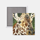 De oude vrijgezelle Giraffe Magneet (Voorkant / Achterkant)