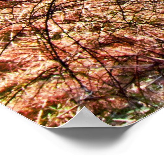 DE OUDE WOODEN SHED POSTER (Hoek)