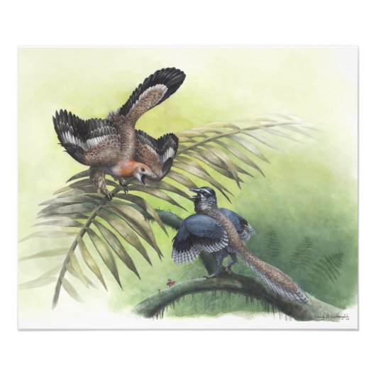 De oudste vogel foto afdruk (Voorkant)