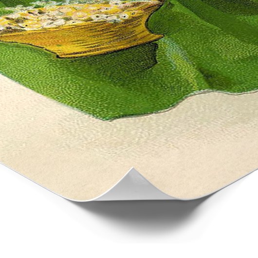 De ould Sod Poster (Hoek)