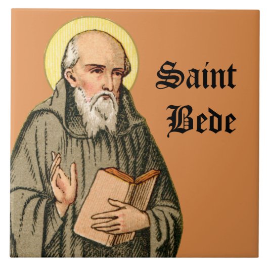 De overdraagbare overstroming (P 008) Tegeltje (Voorkant)