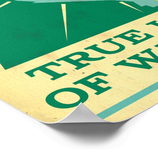 De Owl Air Force Poster (Hoek)