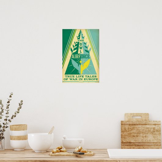 De Owl Air Force Poster (Keuken)