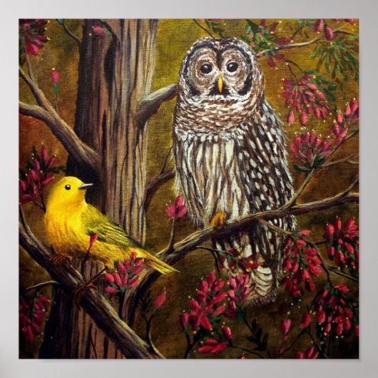 De Owl en de Canarische Eilanden Poster (Voorkant)