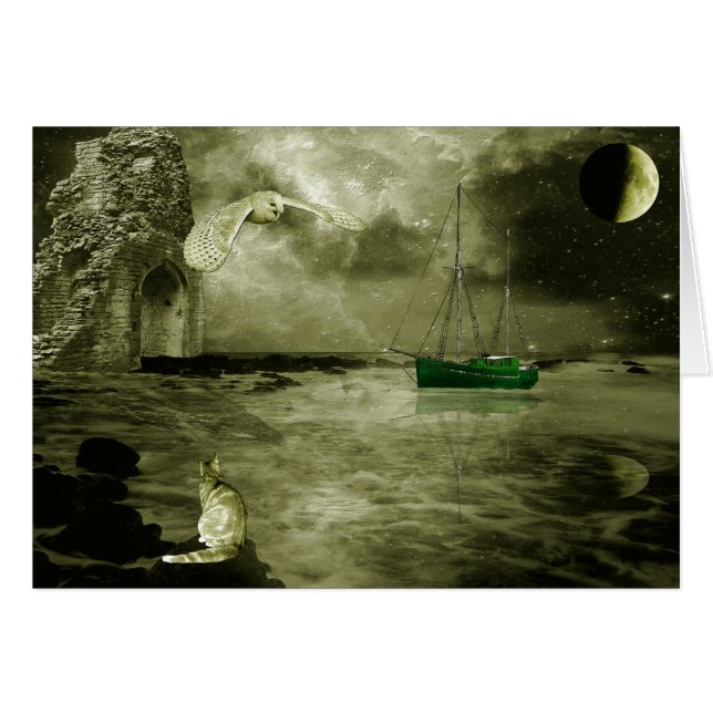 De Owl en de Pussycat (Voorkant Horizontaal)